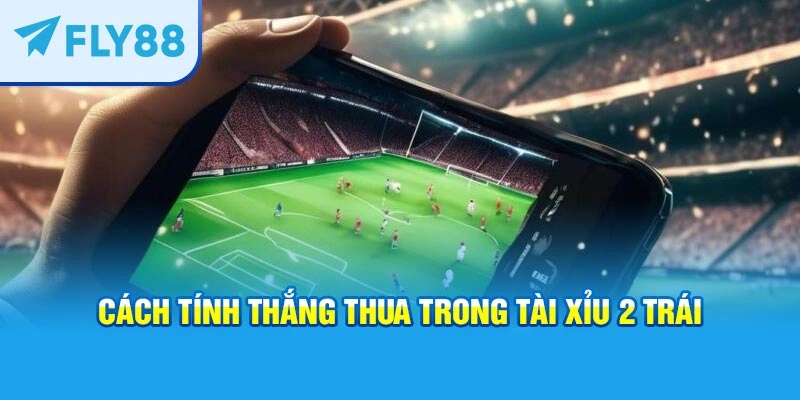 Cách tính thắng thua trong tài xỉu 2 trái