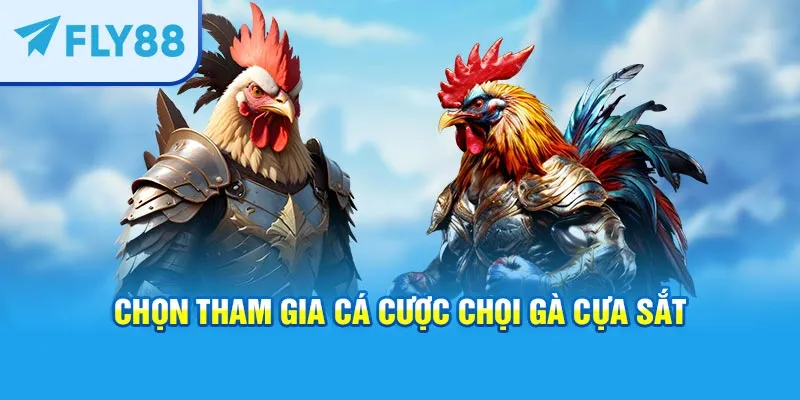 Chọn tham gia cá cược chọi gà cựa sắt