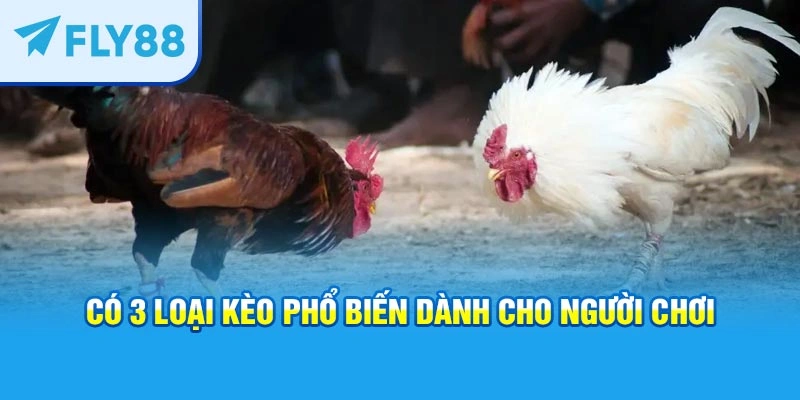 Có 3 loại kèo phổ biến dành cho người chơi