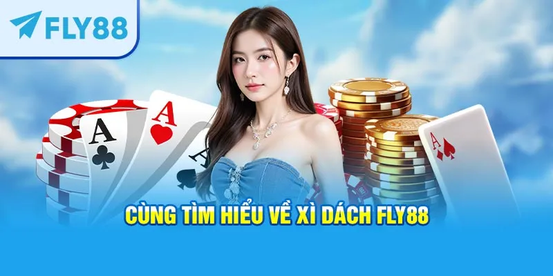 Cùng tìm hiểu về Xì Dách FLY88