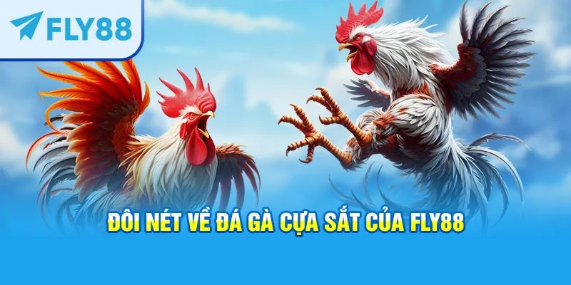 Đôi nét về đá gà cựa sắt của FLY88
