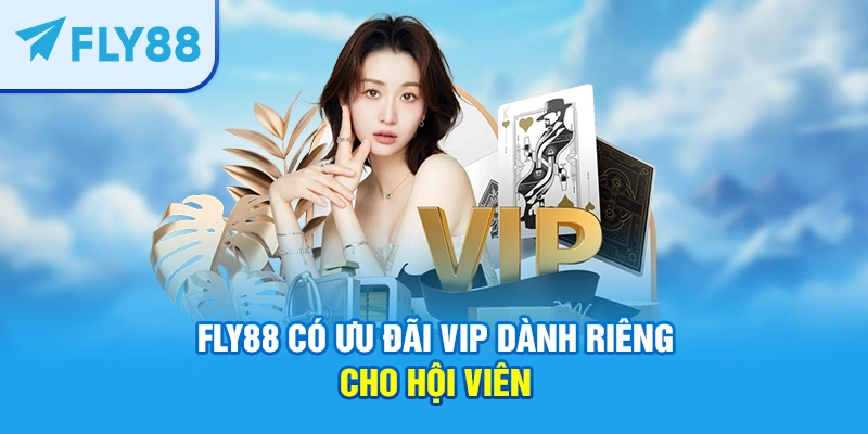 FLY88 có ưu đãi VIP dành riêng cho hội viên