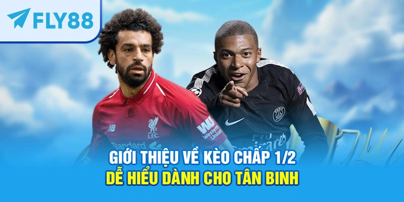 Giới thiệu về kèo chấp 1/2 dễ hiểu dành cho tân binh 