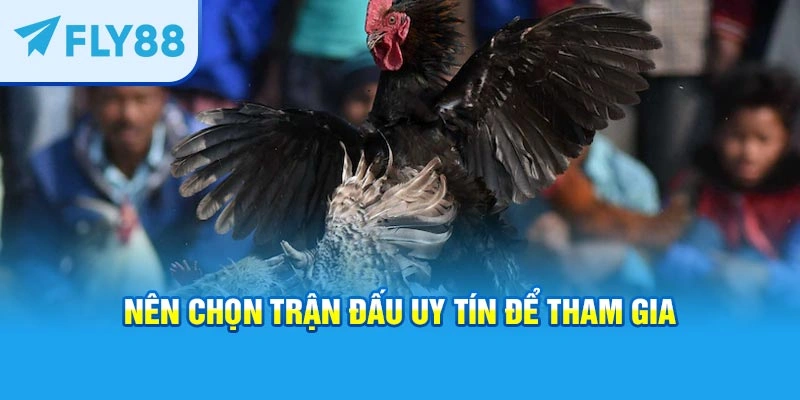 Nên chọn trận đấu uy tín để tham gia