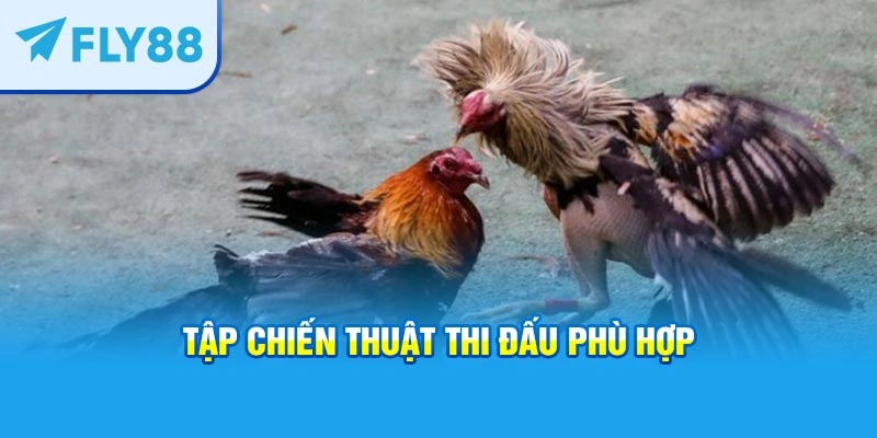 Tập chiến thuật thi đấu phù hợp