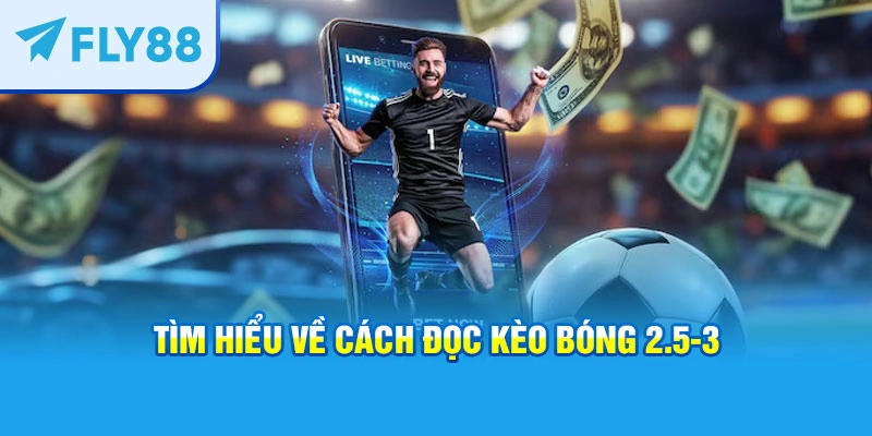 Tìm hiểu về cách đọc kèo bóng 2.5-3